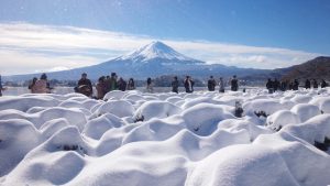 IMG_20161125_102108